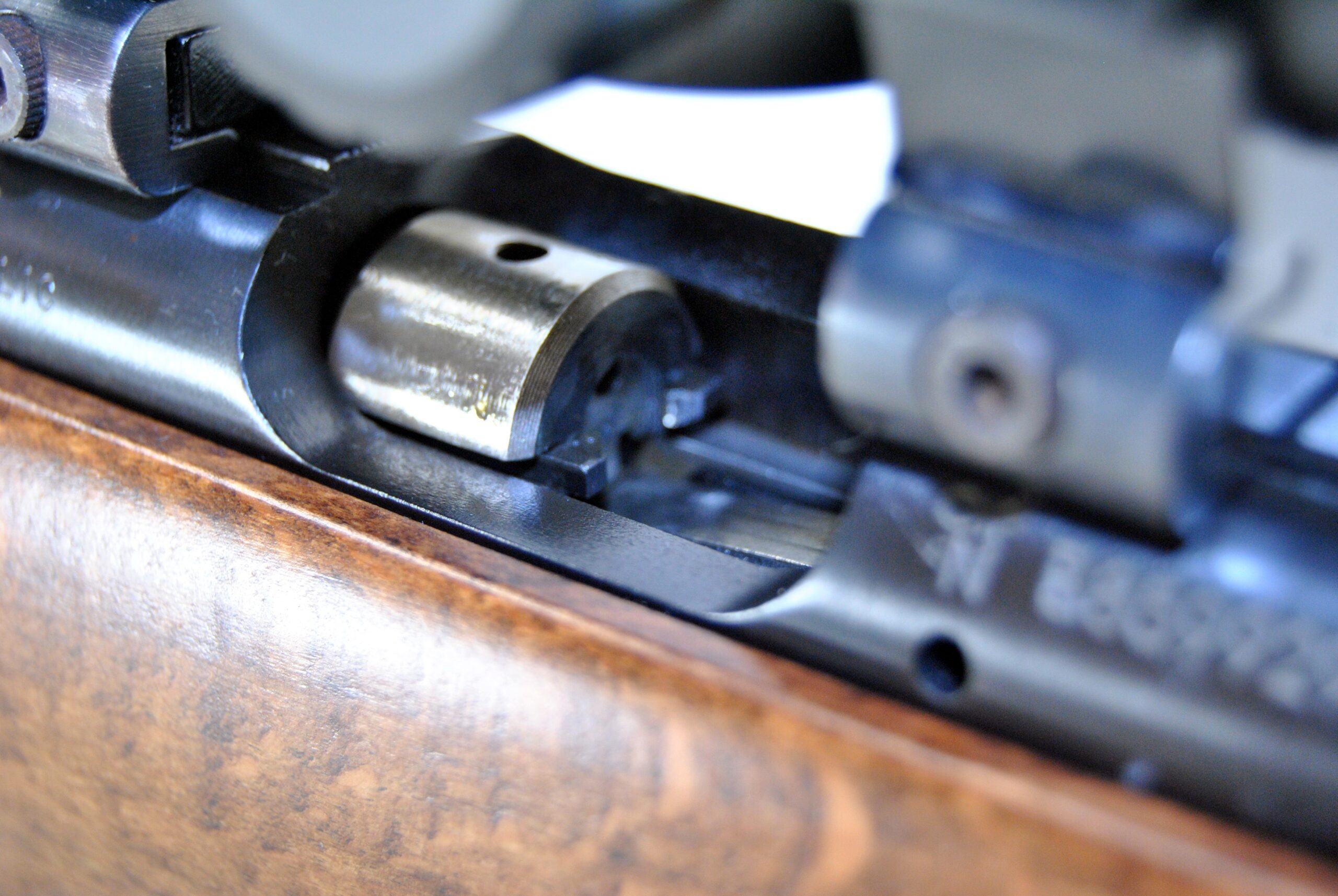 CZ457 American in .17HMR, S/N B859929 - Image 9