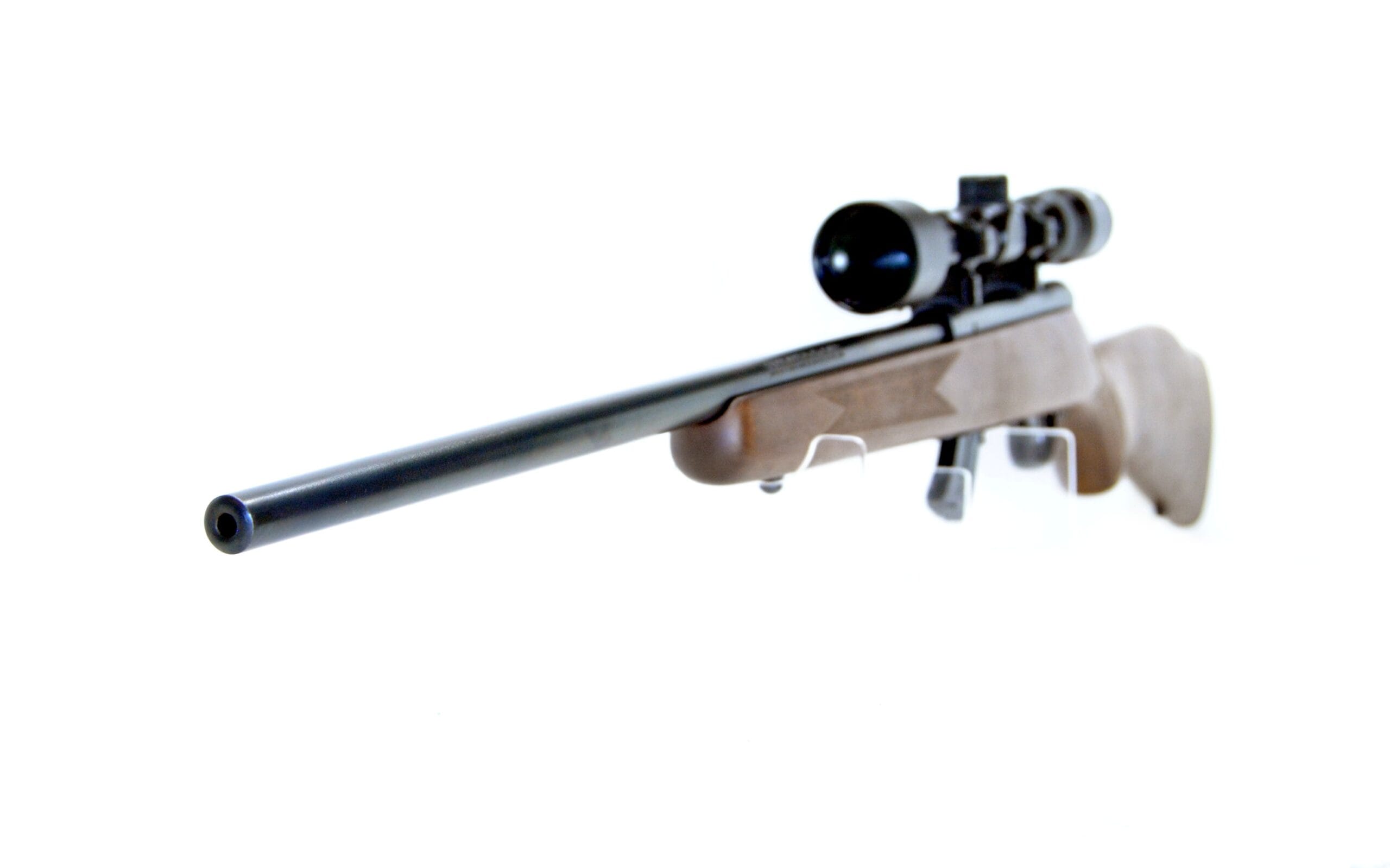 Savage MkII in .22LR, S/N 2434591 - Image 4